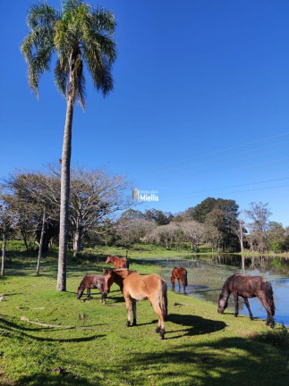Imagem Imóvel à Venda, 20 m² em Martinica - Viamão Imagem Imóvel à Venda, 20 m² em Martinica - Viamão