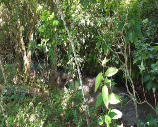 Imagem Imóvel com 1 Quarto à Venda,  em Vila Rica - Presidente Lucena