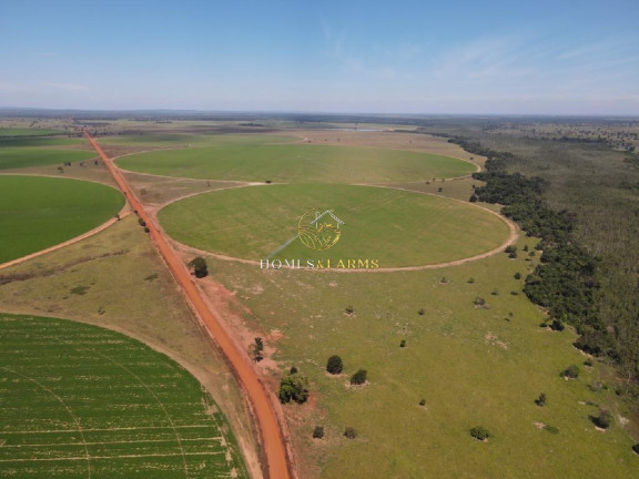 Imagem Imóvel com 3 Quartos à Venda, 5.290 m² em Zona Rural - Britânia Imagem Imóvel com 3 Quartos à Venda, 5.290 m² em Zona Rural - Britânia
