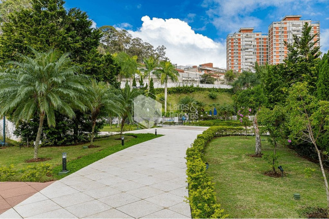 Imagem Apartamento com 3 Quartos à Venda, 92 m² em Jardim Marajoara - São Paulo
