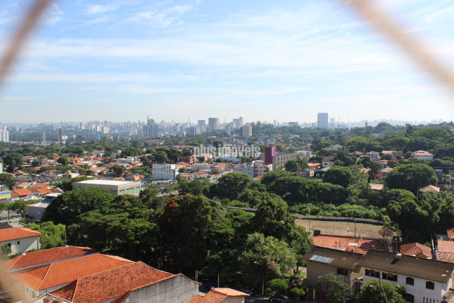Imagem Apartamento com 4 Quartos à Venda, 173 m² em Jardim Guedala - São Paulo Imagem Apartamento com 4 Quartos à Venda, 173 m² em Jardim Guedala - São Paulo