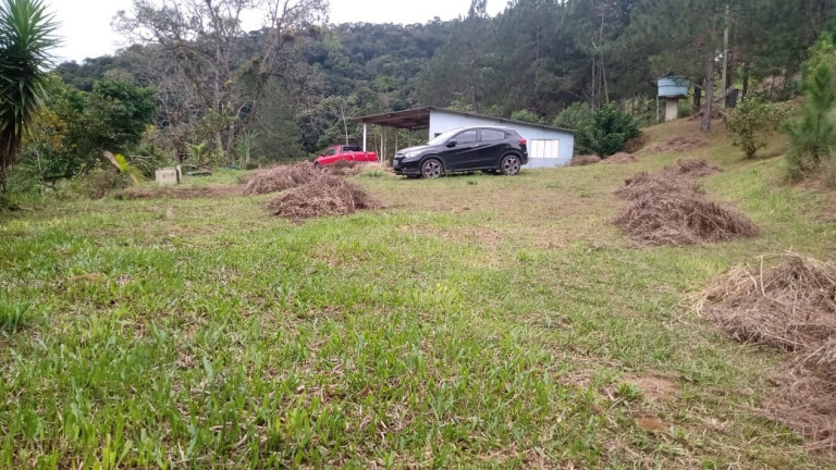 Imagem Imóvel com 2 Quartos à Venda, 187.000 m² em Palmeiras - Juquitiba