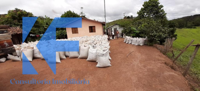 Imóvel à Venda,  em São Caetano Do Lino - Capelinha