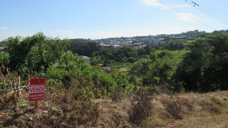 Imagem Terreno à Venda, 450 m² em Jardim - Concórdia Imagem Terreno à Venda, 450 m² em Jardim - Concórdia