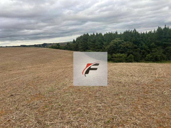 Imagem Chácara à Venda, 168.432 m² em Zona Rural - Quitandinha Imagem Chácara à Venda, 168.432 m² em Zona Rural - Quitandinha