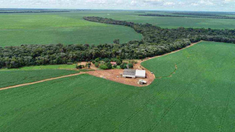 Imagem Fazenda à Venda, 510 m² em Zona Rural - Ipiranga Do Norte Imagem Fazenda à Venda, 510 m² em Zona Rural - Ipiranga Do Norte