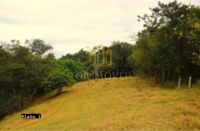 Imagem Fazenda à Venda, 84.280 m² em área Rural De São Francisco Xavier - São José Dos Campos