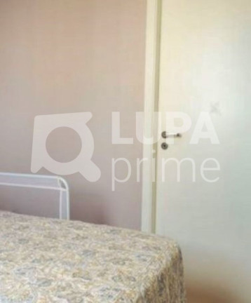 Imagem Apartamento com 3 Quartos à Venda, 62 m² em Vila Guilherme - São Paulo Imagem Apartamento com 3 Quartos à Venda, 62 m² em Vila Guilherme - São Paulo