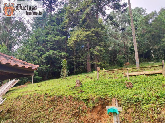 Imagem Chácara à Venda, 60.500 m² em Bom Jardim - Camanducaia Imagem Chácara à Venda, 60.500 m² em Bom Jardim - Camanducaia
