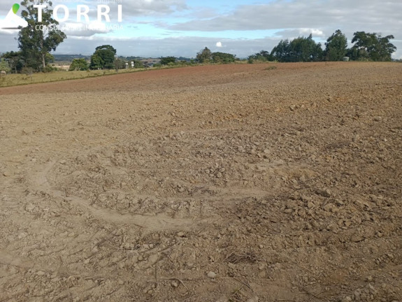 Imagem Terreno à Venda, 20.000 m² em Alto Grande - Araçoiaba Da Serra Imagem Terreno à Venda, 20.000 m² em Alto Grande - Araçoiaba Da Serra