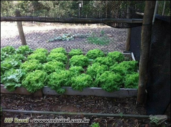 Imagem Fazenda à Venda, 28.000 m² em Joaquim Egídio - Campinas Imagem Fazenda à Venda, 28.000 m² em Joaquim Egídio - Campinas
