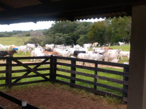 Imagem Fazenda à Venda, 59 m² em Rural - Guareí Imagem Fazenda à Venda, 59 m² em Rural - Guareí