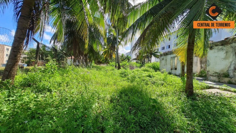 Imagem Terreno à Venda, 4.300 m² em Abrantes - Camaçari Imagem Terreno à Venda, 4.300 m² em Abrantes - Camaçari