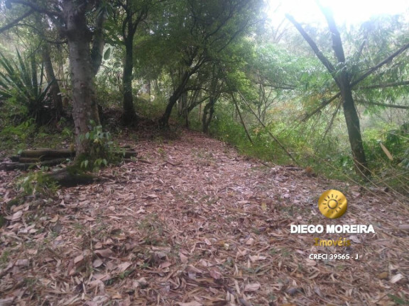 Imagem Chácara com 2 Quartos à Venda, 60 m² em Terra Preta - Mairiporã Imagem Chácara com 2 Quartos à Venda, 60 m² em Terra Preta - Mairiporã