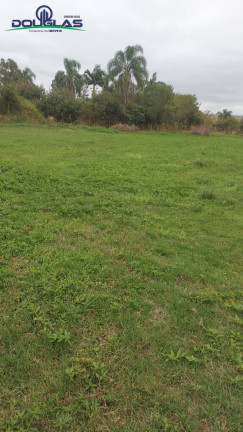 Imagem Chácara com 3 Quartos à Venda, 20.000 m² em Viamão Imagem Chácara com 3 Quartos à Venda, 20.000 m² em Viamão
