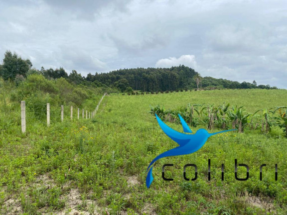 Chácara à Venda, 21.000 m² em Ribeirãozinho - Agudos Do Sul