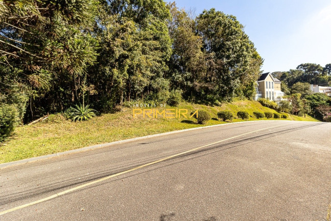 Imagem Terreno à Venda, 1.684 m² em São João - Curitiba Imagem Terreno à Venda, 1.684 m² em São João - Curitiba