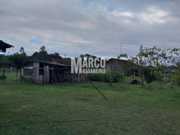 Imagem Chácara com 3 Quartos à Venda, 1 m² em Pinheiros - Balneário Barra Do Sul Imagem Chácara com 3 Quartos à Venda, 1 m² em Pinheiros - Balneário Barra Do Sul