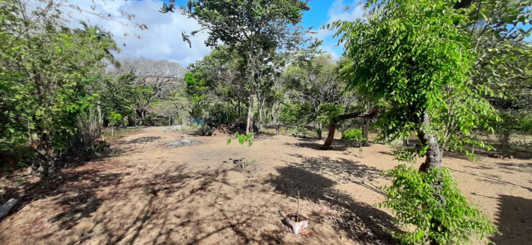 Imagem Casa com 3 Quartos à Venda, 160 m² em Centro - Tibau Do Sul