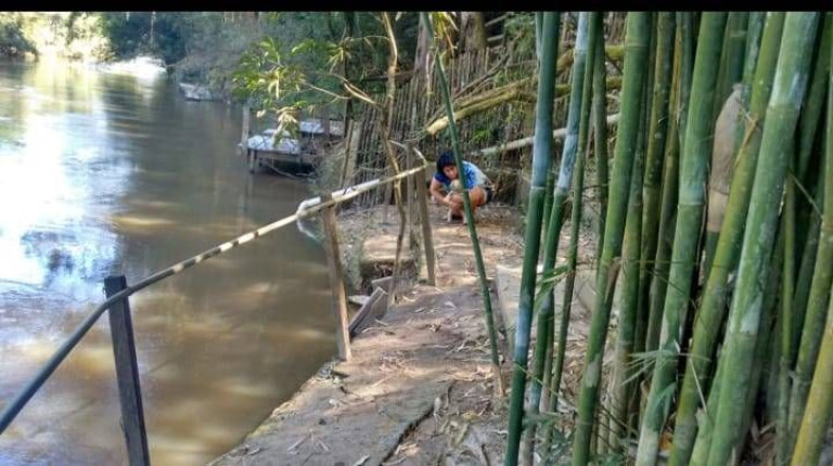 Imagem Chácara com 2 Quartos à Venda,  em Caruça 2 - Itapetininga