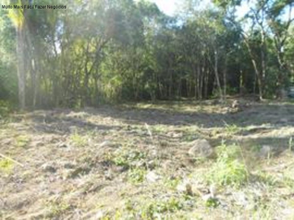Imagem Terreno à Venda, 528 m² em Juriti - Nova Petrópolis Imagem Terreno à Venda, 528 m² em Juriti - Nova Petrópolis