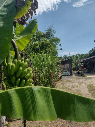 Imagem Fazenda à Venda, em Rio Das Pedras - Paranagua Imagem Fazenda à Venda, em Rio Das Pedras - Paranagua