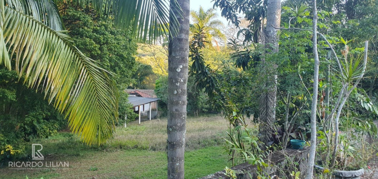 Imagem Imóvel com 4 Quartos à Venda, 7.000 m² em Chácaras Copaco - Arujá Imagem Imóvel com 4 Quartos à Venda, 7.000 m² em Chácaras Copaco - Arujá