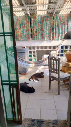 Imagem Apartamento com 1 Quarto à Venda, 63 m² em Coqueiros - Florianópolis