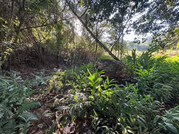 Imagem Chácara à Venda, 4 m² em Vieiras - Itatiaiuçu
