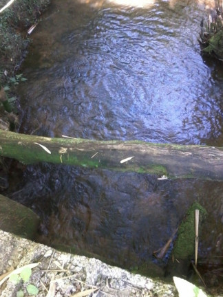 Imagem Terreno à Venda, em Itariri Imagem Terreno à Venda, em Itariri
