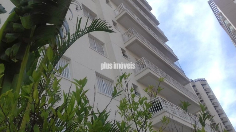 Imagem Apartamento com 3 Quartos à Venda, 128 m² em Chácara Inglesa - São Paulo Imagem Apartamento com 3 Quartos à Venda, 128 m² em Chácara Inglesa - São Paulo