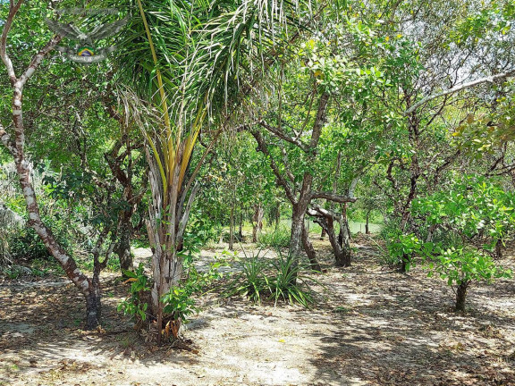 Imagem Terreno à Venda, 23.000 m² em Marapanim Imagem Terreno à Venda, 23.000 m² em Marapanim