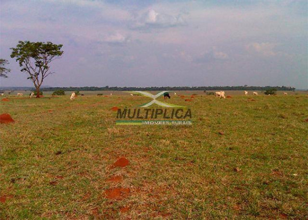 Fazenda à Venda, 295 m² em Ituiutaba