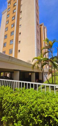 Imagem Apartamento com 2 Quartos à Venda, 67 m² em Jardim América - São José Dos Campos Imagem Apartamento com 2 Quartos à Venda, 67 m² em Jardim América - São José Dos Campos