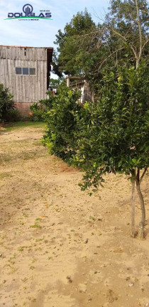 Imagem Terreno à Venda, 600 m² em Viamão Imagem Terreno à Venda, 600 m² em Viamão