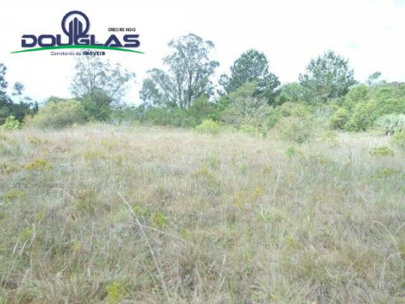 Imagem Imóvel Comercial à Venda, 3.640 m² em Morro Grande - Viamão Imagem Imóvel Comercial à Venda, 3.640 m² em Morro Grande - Viamão