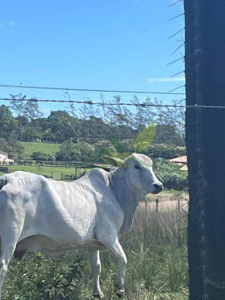 Fazenda à Venda, 1.258.400 m² em Centro - Araruama