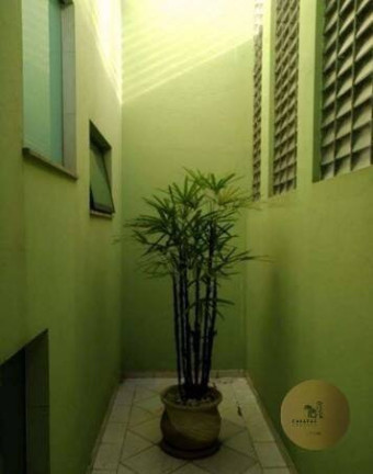 Imagem Sobrado com 3 Quartos à Venda, 201 m² em Vila Gilda - Santo André Imagem Sobrado com 3 Quartos à Venda, 201 m² em Vila Gilda - Santo André