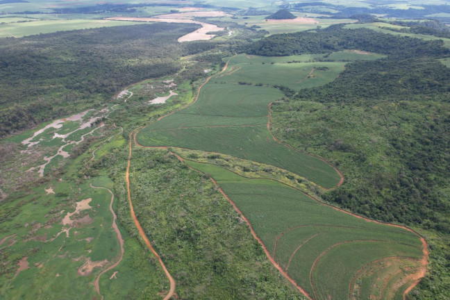 Imagem Fazenda à Venda, 53 m² em Zona Rural - Ibaté Imagem Fazenda à Venda, 53 m² em Zona Rural - Ibaté