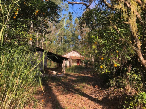 Imagem Terreno à Venda, 3 m² em Rua São José Do Cai - Nova Petrópolis Imagem Terreno à Venda, 3 m² em Rua São José Do Cai - Nova Petrópolis