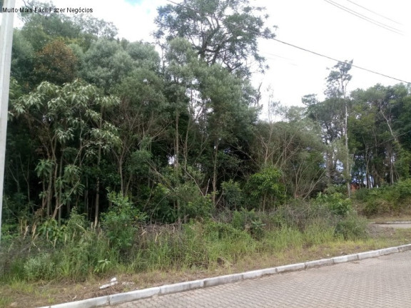 Imagem Terreno à Venda, 506 m² em Juriti - Nova Petrópolis Imagem Terreno à Venda, 506 m² em Juriti - Nova Petrópolis