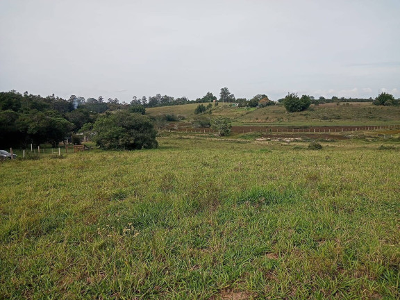 Imagem Chácara à Venda, 10.000 m² em águas Claras - Viamão Imagem Chácara à Venda, 10.000 m² em águas Claras - Viamão