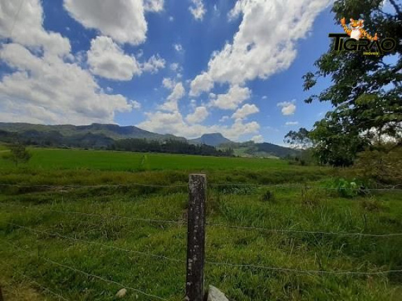 Imagem Chácara com 4 Quartos à Venda, 300.000 m² em Ilhota - Ilhota Imagem Chácara com 4 Quartos à Venda, 300.000 m² em Ilhota - Ilhota