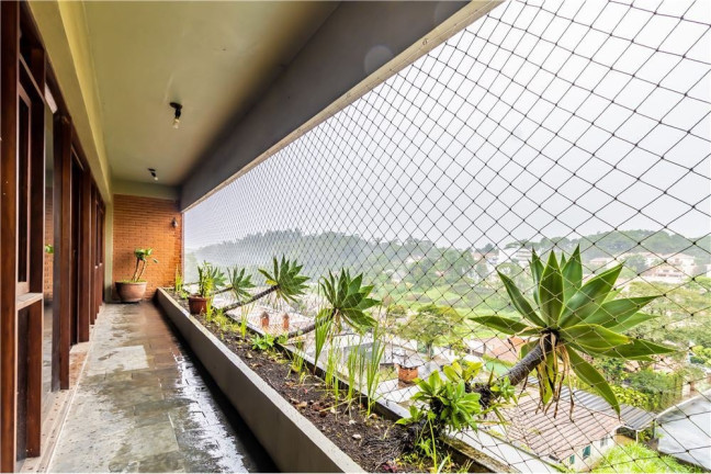 Imagem Casa com 4 Quartos à Venda,  em Horto Florestal - São Paulo