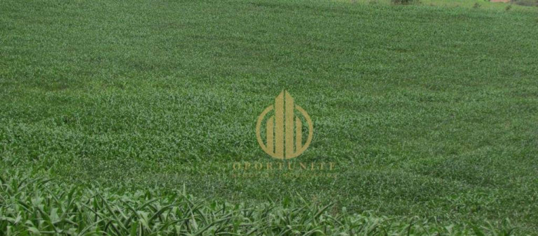 Terreno à Venda, 250 m² em Bonfim Paulista - Ribeirão Preto