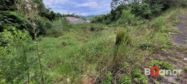 Imagem Terreno à Venda, 576 m² em Itoupava Central - Blumenau Imagem Terreno à Venda, 576 m² em Itoupava Central - Blumenau