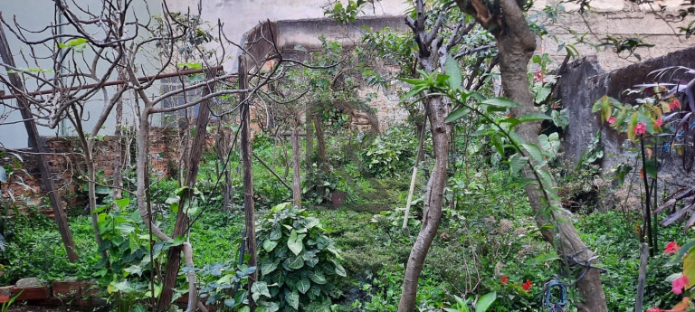 Imagem Casa com 3 Quartos à Venda, 250 m² em Vila Guarani (z Sul) - São Paulo Imagem Casa com 3 Quartos à Venda, 250 m² em Vila Guarani (z Sul) - São Paulo