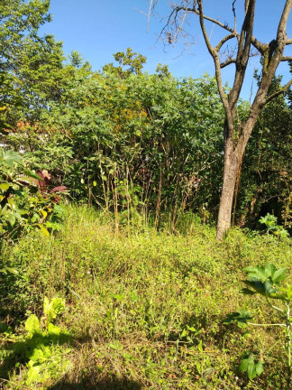 Imagem Terreno à Venda, 240 m² em Taboão - São Bernardo Do Campo Imagem Terreno à Venda, 240 m² em Taboão - São Bernardo Do Campo
