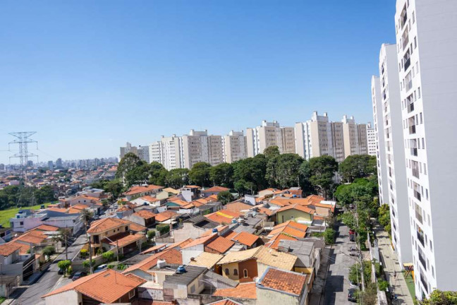 Apartamento com 2 Quartos à Venda, 79 m² em Jardim íris - São Paulo