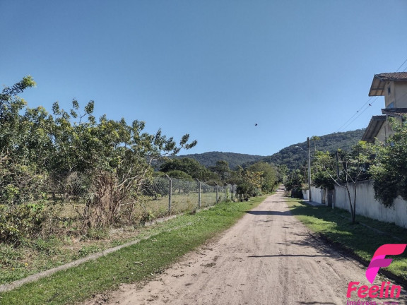 Imagem Casa com 2 Quartos à Venda, 120 m² em Rio Tavares - Florianópolis